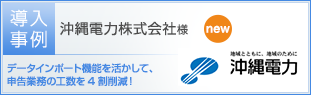 沖縄電力株式会社様