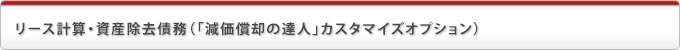 リース計算・資産除去債務(「減価償却の達人」カスタマイズオプション)